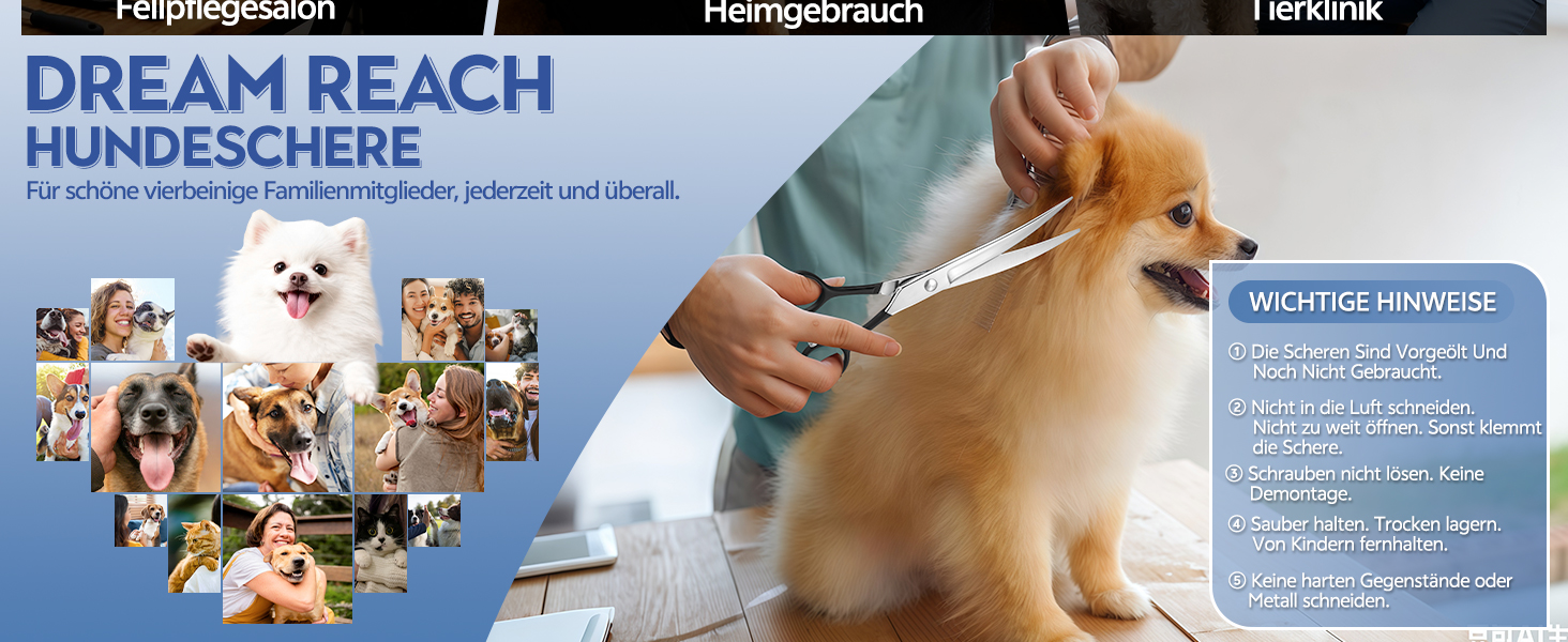 Ножиці для грумінгу собак та котів Dream Reach 6.5 дюймів, вигнуті, з японської сталі 440C, фіолетовий колір