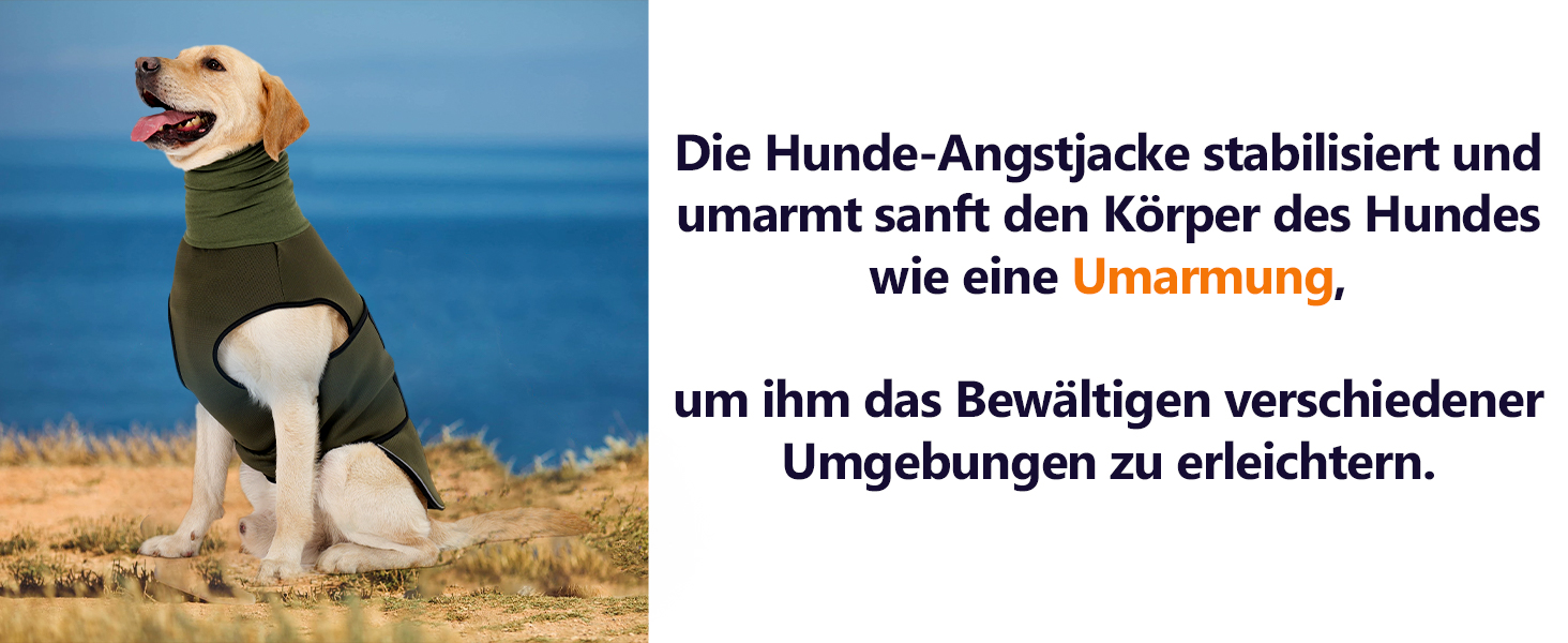 Заспокійливий жилет для собак Heywean з капюшоном та захистом вух, антистресовий, XL, оливковий