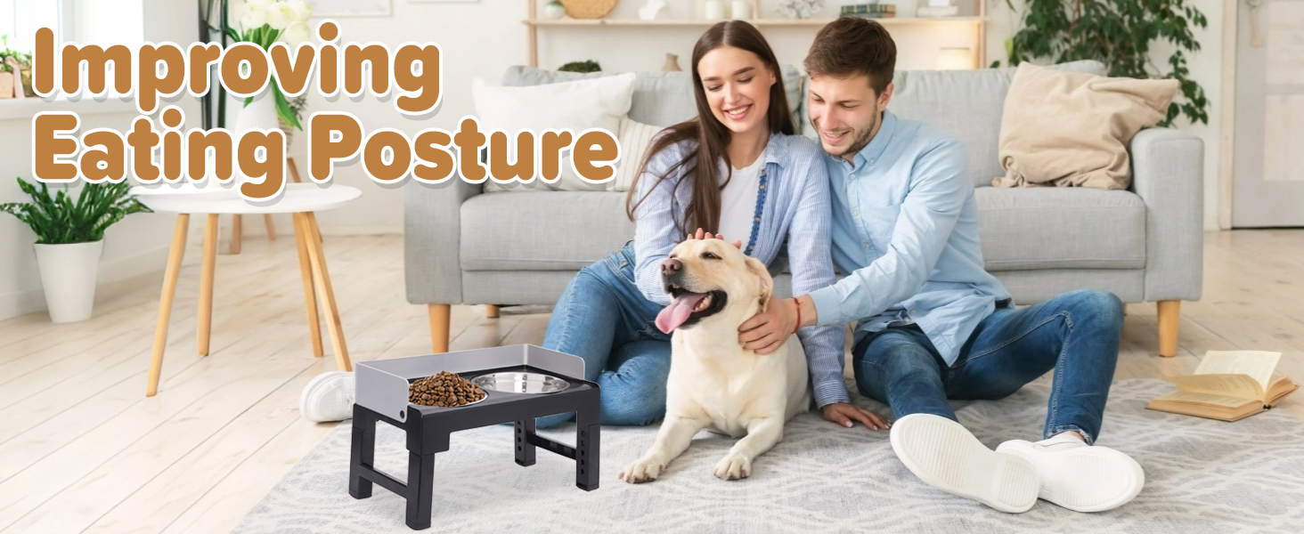 Підвищені годівниці для собак з перегородкою, 2 великі миски, регульована висота, для малих, середніх та великих собак