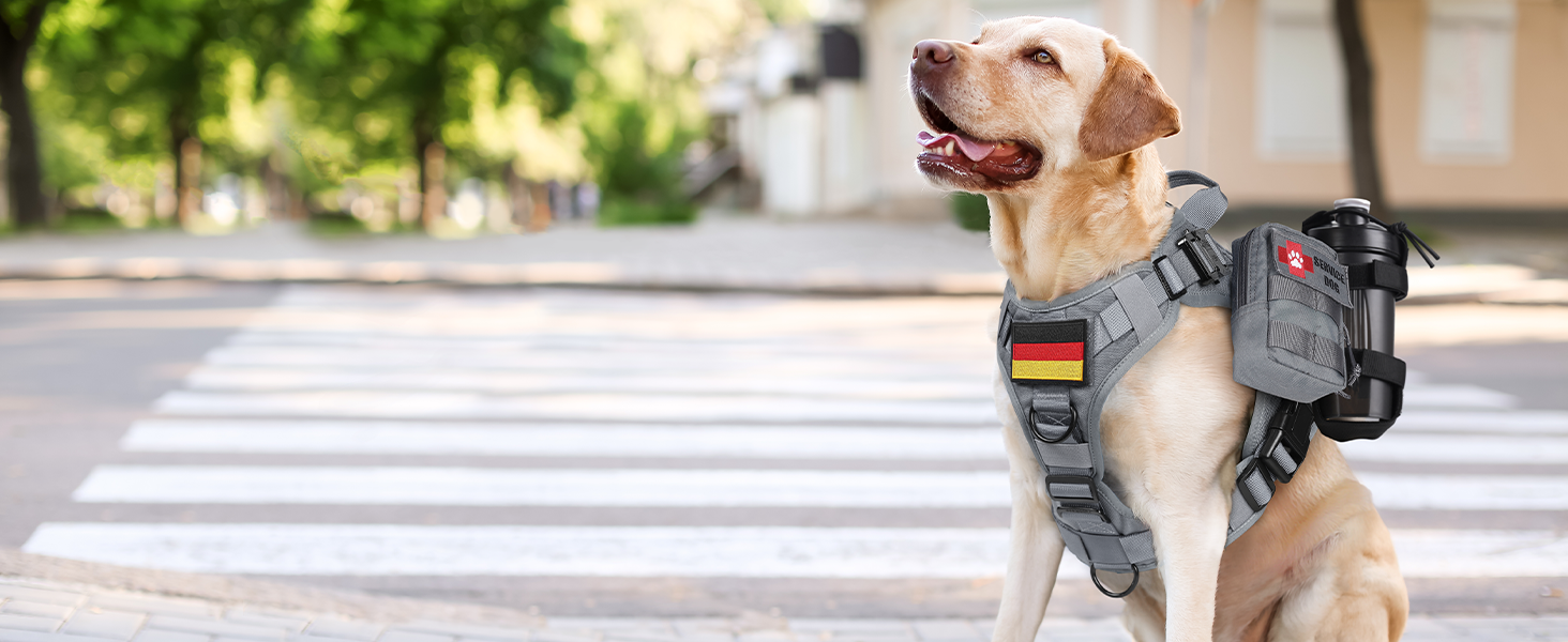 Шлейка для собак Rabbitgoo великих порід, без натягу, тактична з MOLLE, металеві пряжки, дихаюча, військова, регульована, з підкладкою, сіра, L (1 шт.)