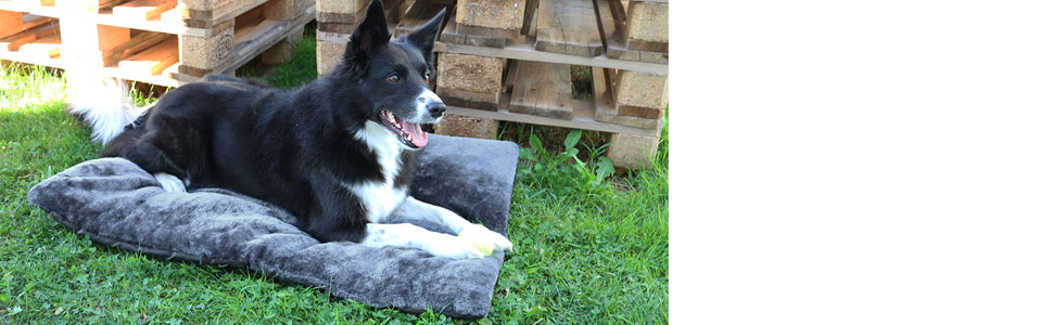 Кілимок для собак Zollner, 60x90 см, сірий, з поліестеру, знімне покриття, переносний