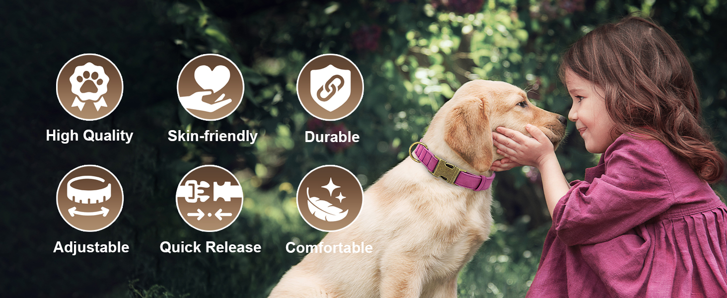 Нашийник для собак Didog з м'якої PU-шкіри, фіолетовий, розмір L (38,1-48,3 см), зручна застібка, для великих собак, для щоденних прогулянок