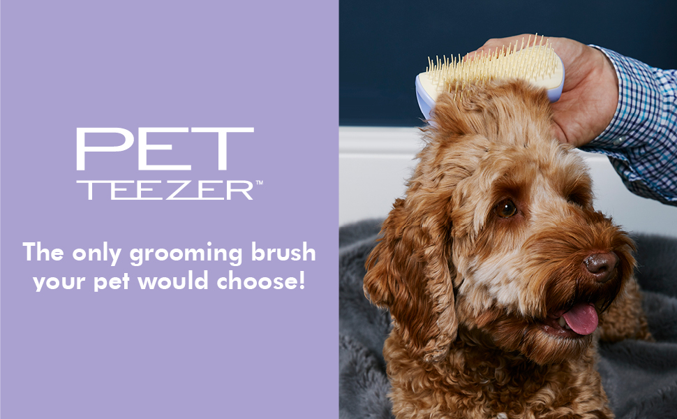 Тізер для грумінгу собак Tangle Teezer Pet Teezer - синій/помаранчевий (1 шт)