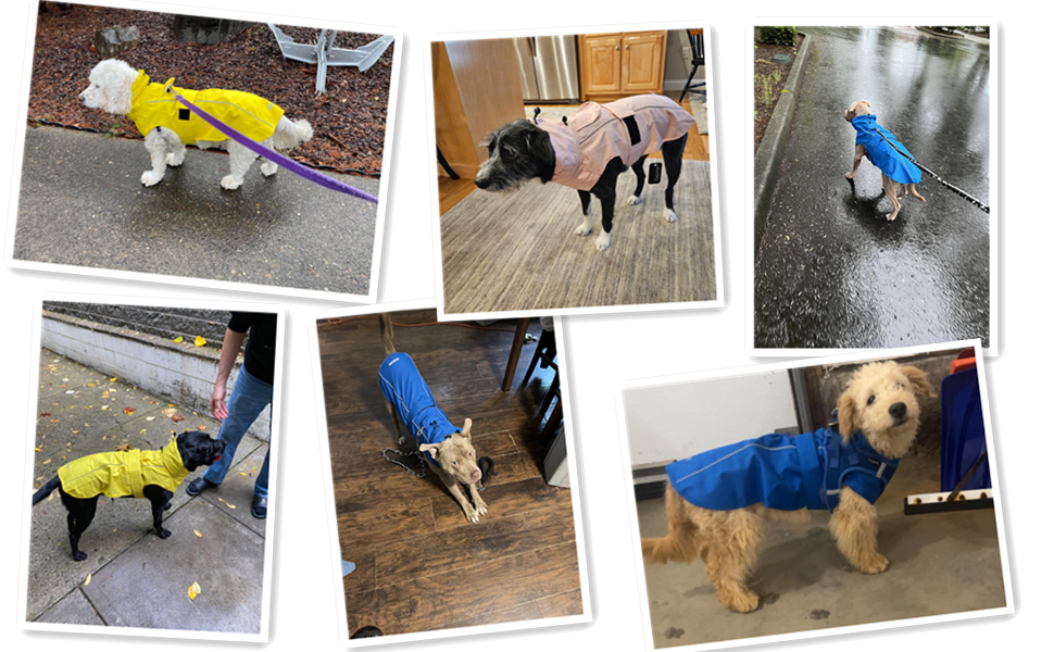 Водонепроникний дощовик для собак, дихаючий, з отвором для повідка, відбиваючий, для маленьких, середніх та великих собак (жовтий та білий, розмір XXXL)