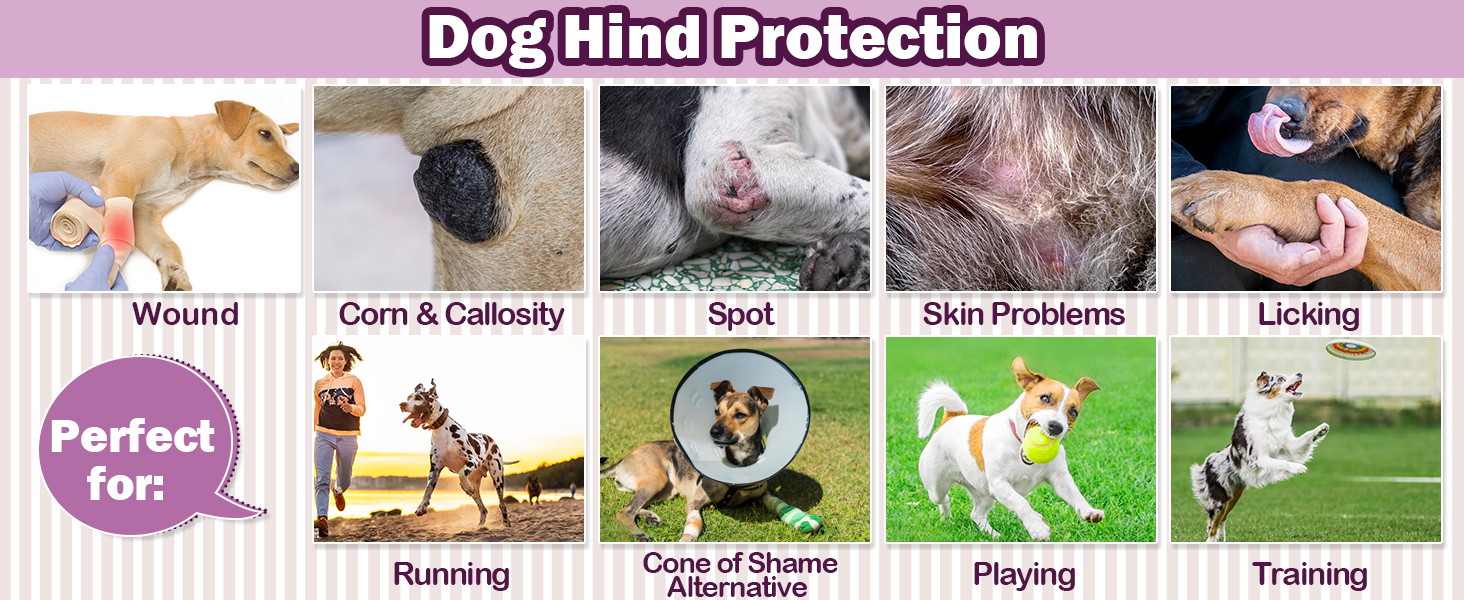 Комбінезон для собак після операції на ногах, захист від витікання, запобігає інфекціям, розмір XL, фіолетовий