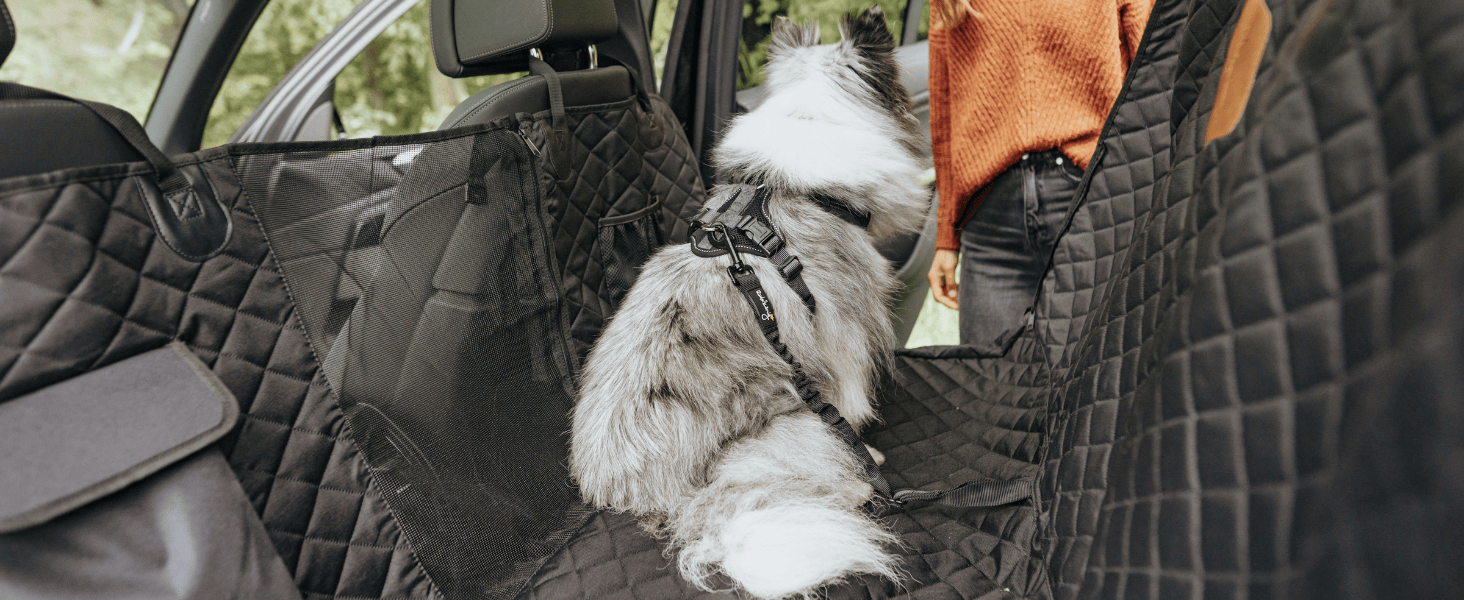 Автомобільний ремінь безпеки для собак Rudelkönig - регульований, чорний