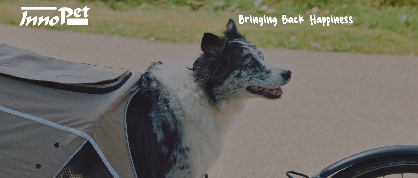 Візок для собак Innopet Adventure: прогулянка з вашим улюбленцем. Підходить для собак, котів та дітей. Кольори: золото, чорний