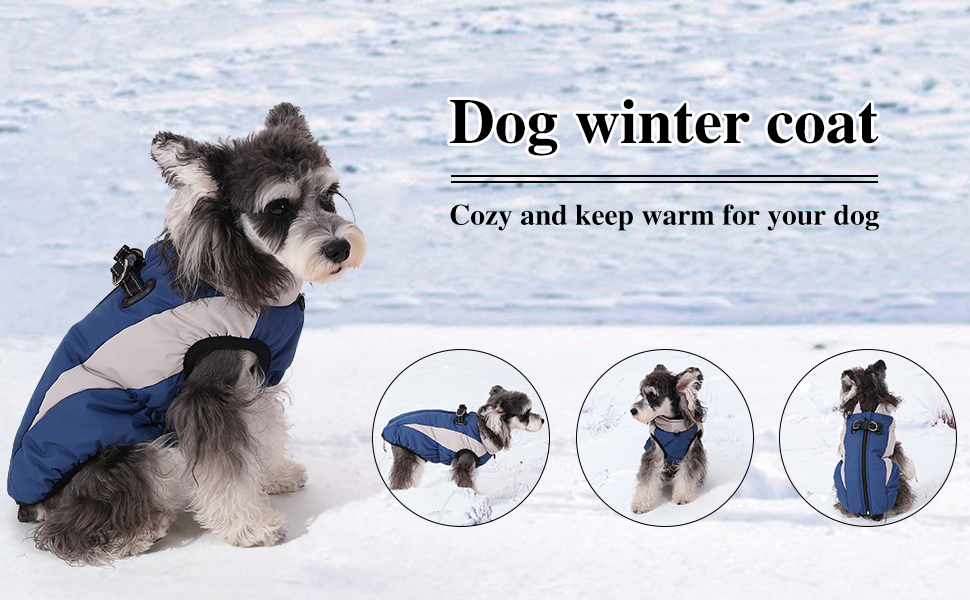 Зимовий теплий одяг для собак, теплий зимовий одяг, вітронепроникний, світловідбиваючий, флісовий, одяг для собак з шлейкою, теплий флісовий жилет для собак, розмір XL, одяг для собак, на блискавці, одяг для собак від снігу, зелений