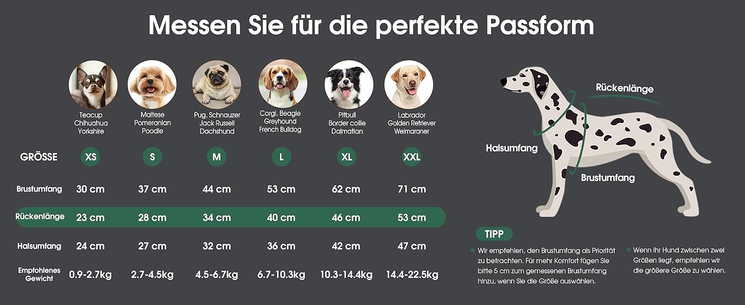 Пуловер для собак Queenmore Dackel, в'язаний водолазка для собак, підходить для Джек Рассел, Бульдог, Коргі, Французький Бульдог, Мопс (Синій, M)