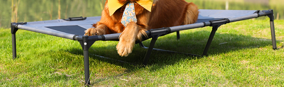 Підвищене ліжко для собак з балдахіном, 76x61x76 см, з металевим каркасом, тканинне, дихаюче, для собак та котів, для дому та вулиці