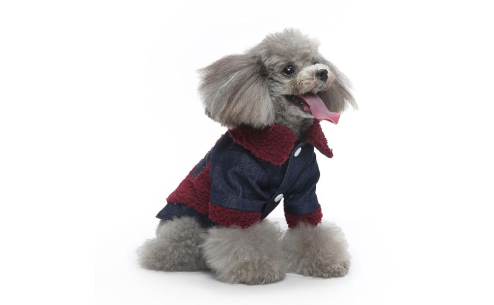 Зимовий теплий водонепроникний одяг для собак Eringogo (L, Multi) - для прогулянок та фотосесій