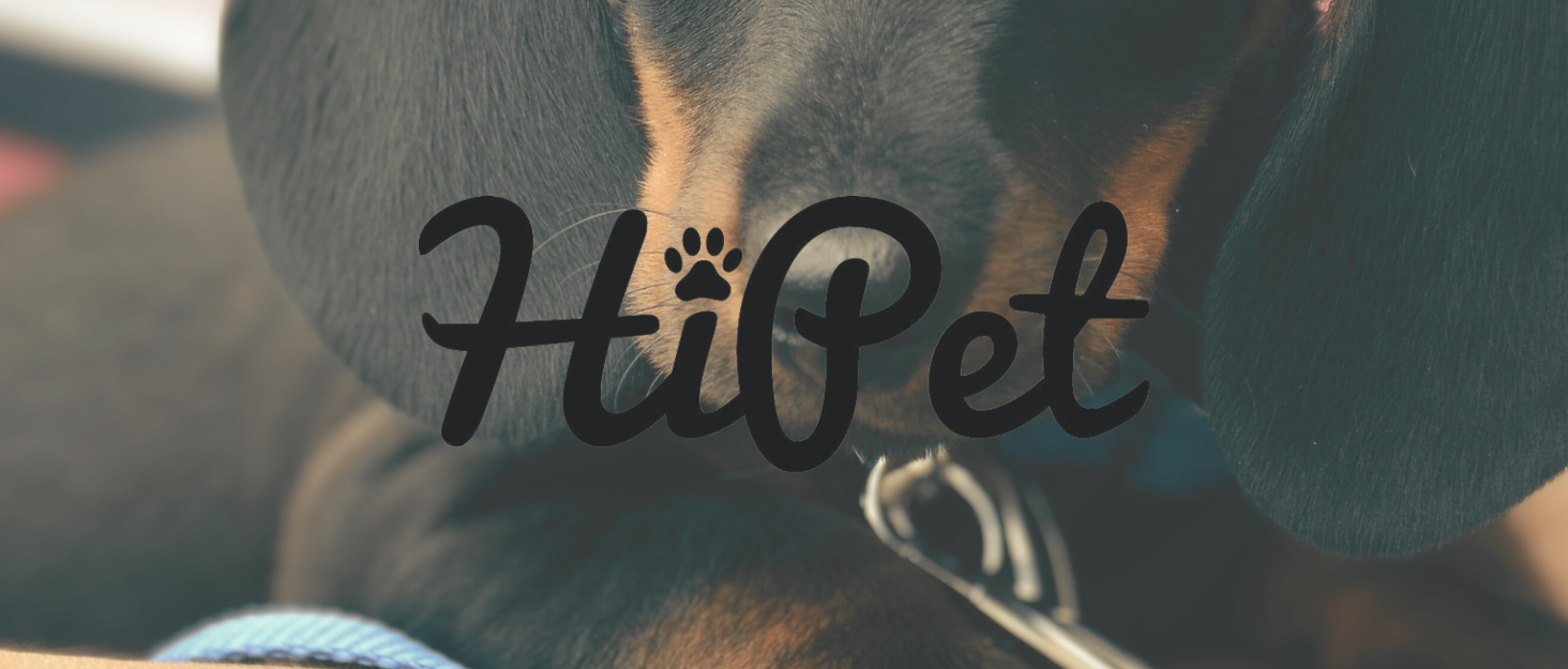 Візок для собак Сенна сірий, зручний для прогулянок