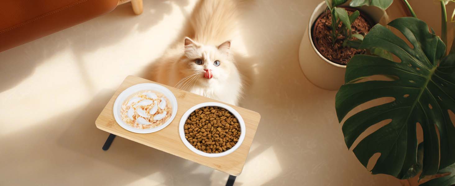 Набір мисок для котів PETTOM Anti-Schling з кераміки: піднята миска з нахилом 15°, бамбукова підставка, протиковзаюча, для вологого та сухого корму