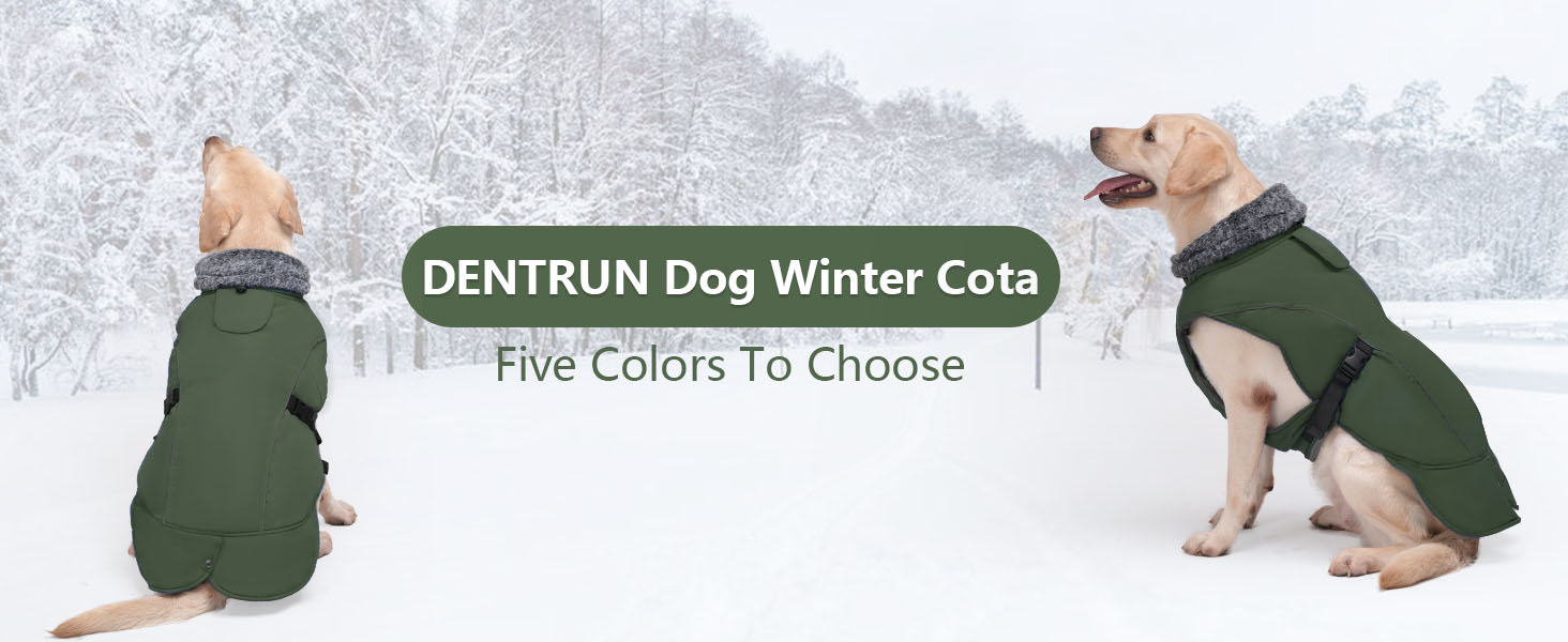 Водонепроникний теплий зимовий одяг для собак DENTRUN, флісова підкладка, куртка для собак середнього розміру (Синій, M)