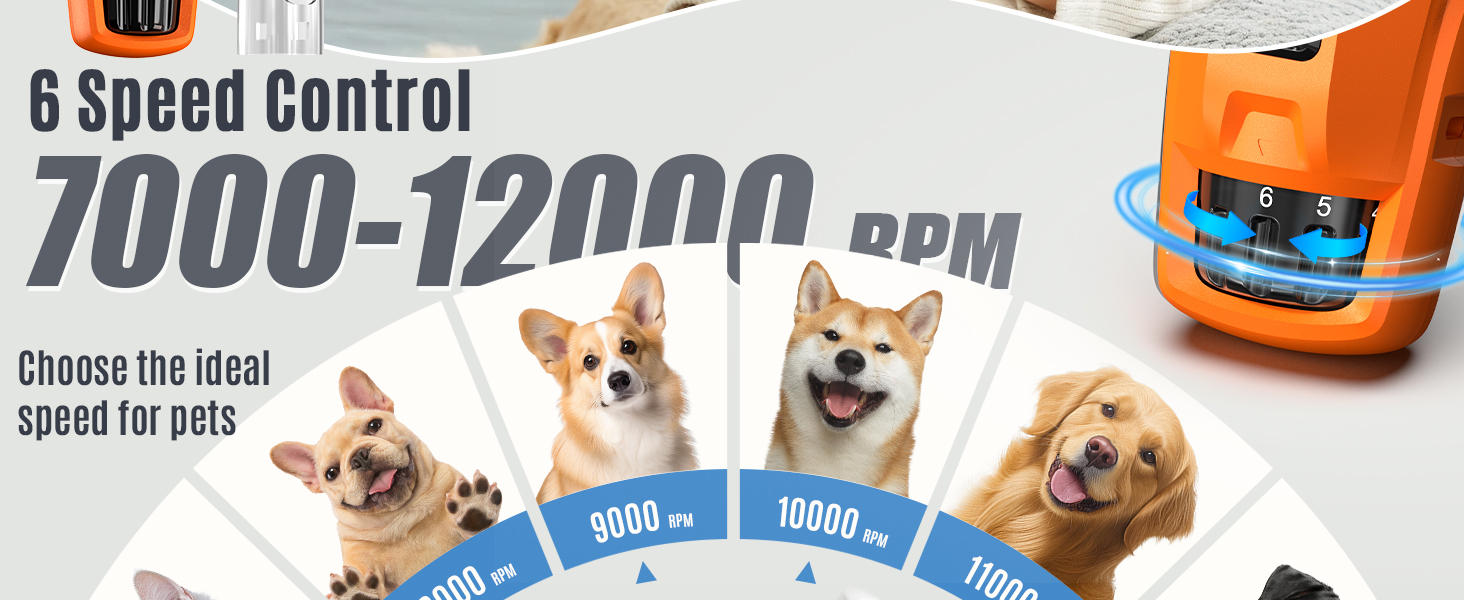 Електричний шліфувальник для собак та котів Casfuy Neue з 6 насадками – тиха робота, 7 годин, 2 LED, для собак великих, середніх та малих порід