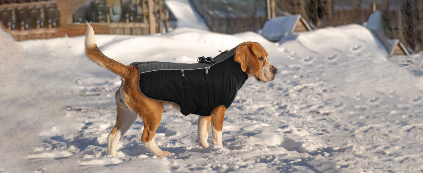 Водонепроникний зимовий одяг для собак, тепла куртка для собак з отвором для шлейки, для малих, середніх та великих собак, з відбиваючими смугами та блискавкою - чорний, XS