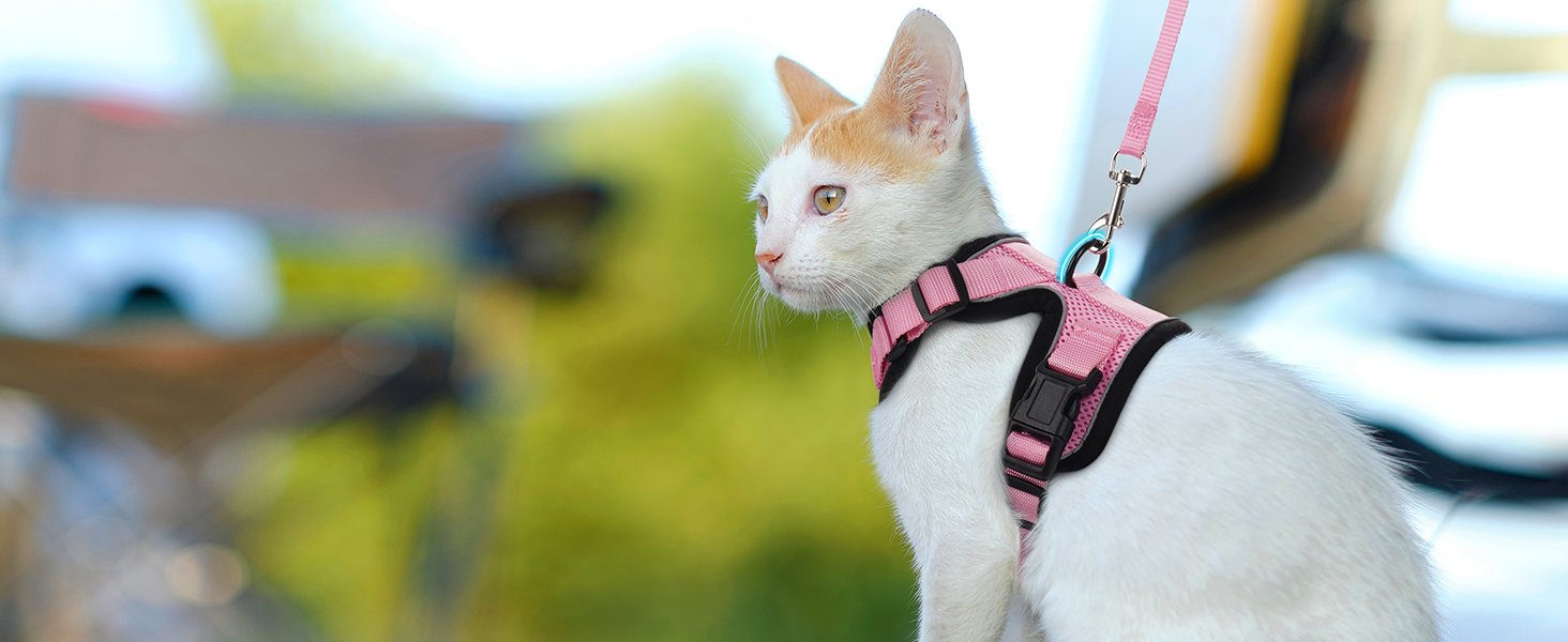 Шлейка для кота Rabbitgoo з повідком, м'яка шлейка для кота, шлейка-жилет для кота, безпечна та регульована, рожева, XS (1 шт.)