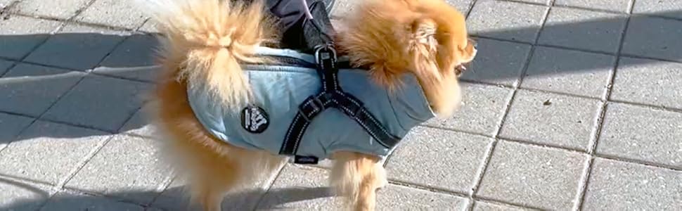 Зимова жилетка для собак, теплий нашийник, водонепроникний одяг для тварин з кільцем, регульована блискавка, світловідбиваючі елементи (M, Чорний)