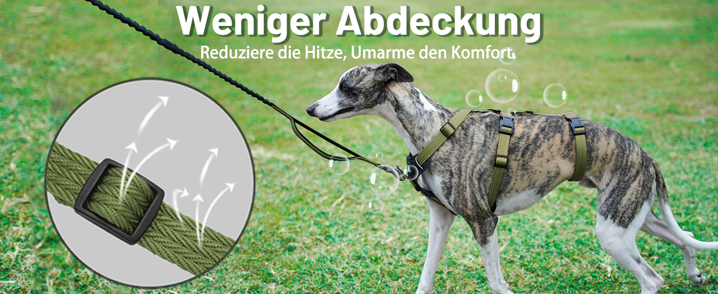 Шлейка для собак Paworld, анти-тяга, шлейка від паніки, анти-вислизання, регульована, дихаюча жилетка для собак маленьких, середніх та великих розмірів (XL) Extra Large (упаковка 1), колір: зелений