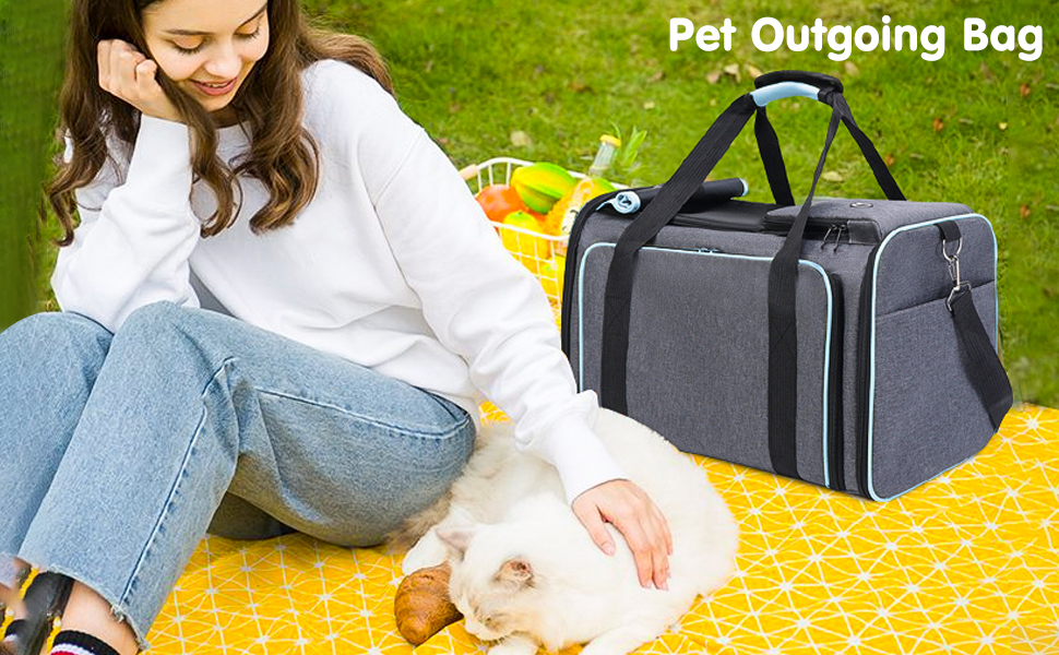 PETCUTE Складана переносна сумка для кота та собаки, дихаюча переноска для кота та собаки, сумка для собак з миючим килимком, розширювана сумка для собак з плечовим ременем, відкривання з 5 сторін сіра+зелена