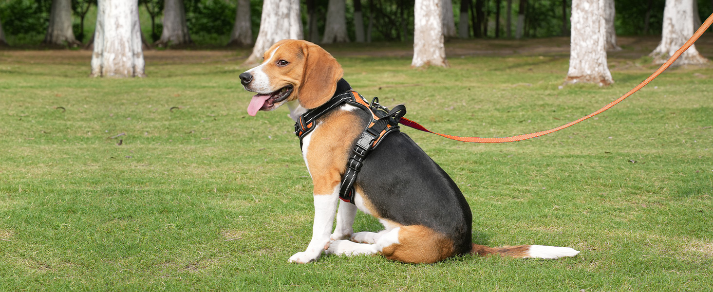 Світловідбиваючий нашийник для собак Joytale з LED, для середніх та великих собак, без натягування, з ручкою, регульований, для нічних прогулянок, зелений/помаранчевий, M/XL