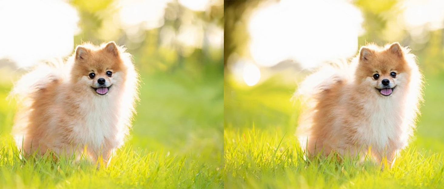 Транспортна сумка для собак та котів, велика, дихаюча, з ременем безпеки, коричнева