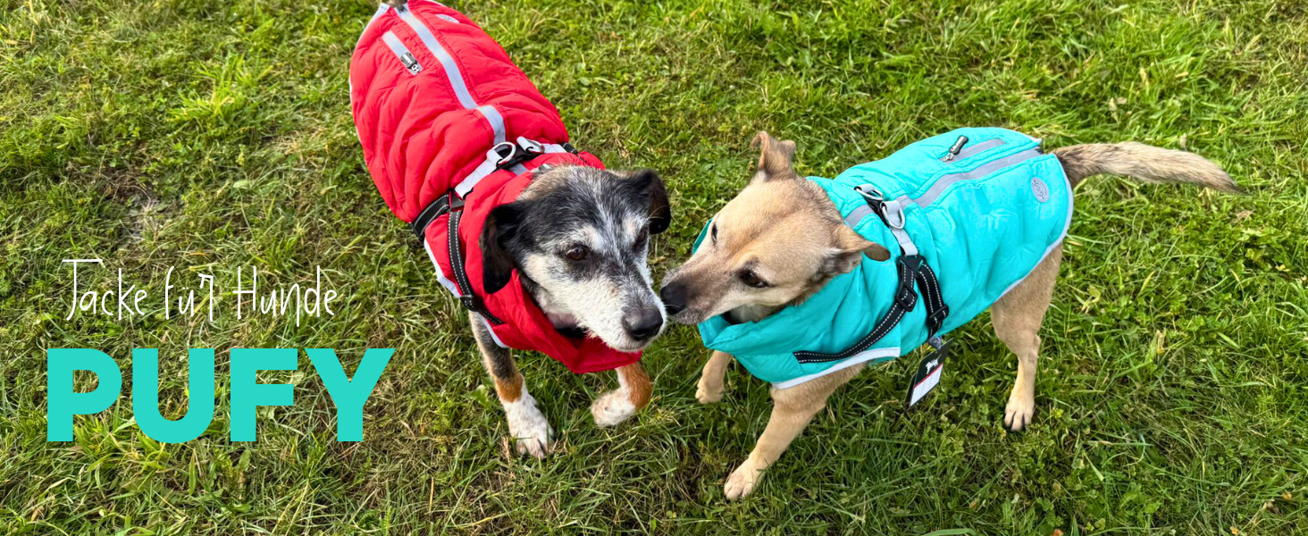 Водонепроникна тепла куртка для собак 2-в-1 з інтегрованою шлейкою - Зимова куртка для собак з відбиваючими елементами, вітронепроникна та легка, ідеальна для осені та зими, червона, розмір L