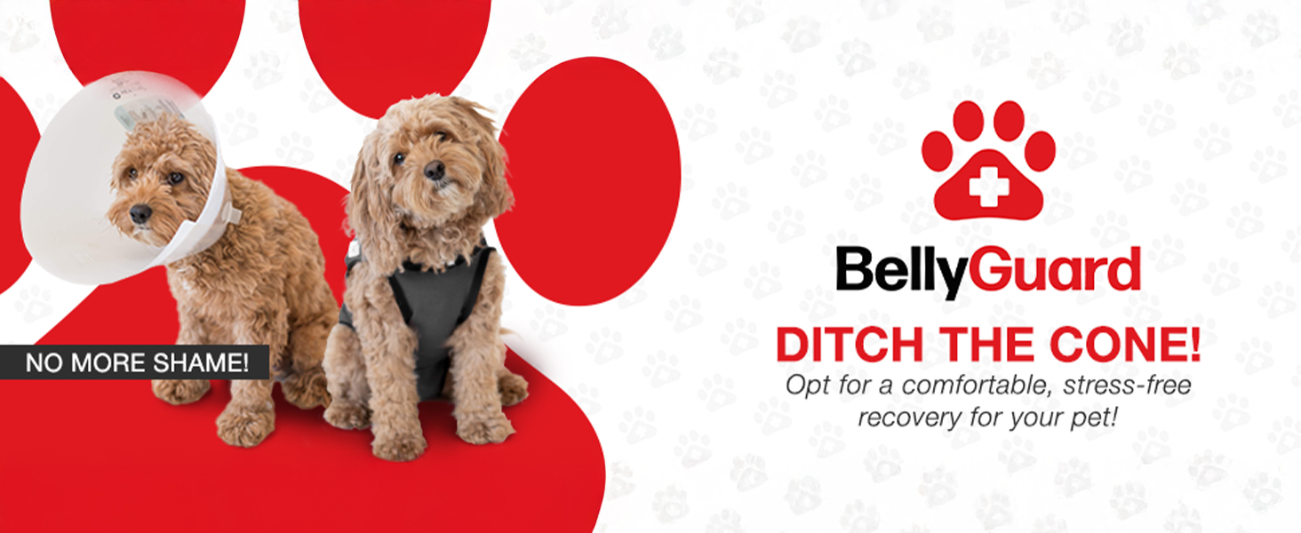 Захисний боді для собак після операції (кастрація/стерилізація), альтернатива нашийнику, сірий, 2XL