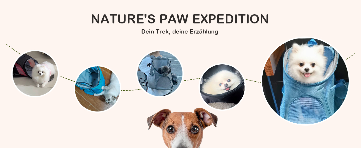 Рюкзак для котів та маленьких собак ALLSOPETS, переноска для тварин з прозорою верхньою частиною, складний, для подорожей (Світло-блакитний, S)