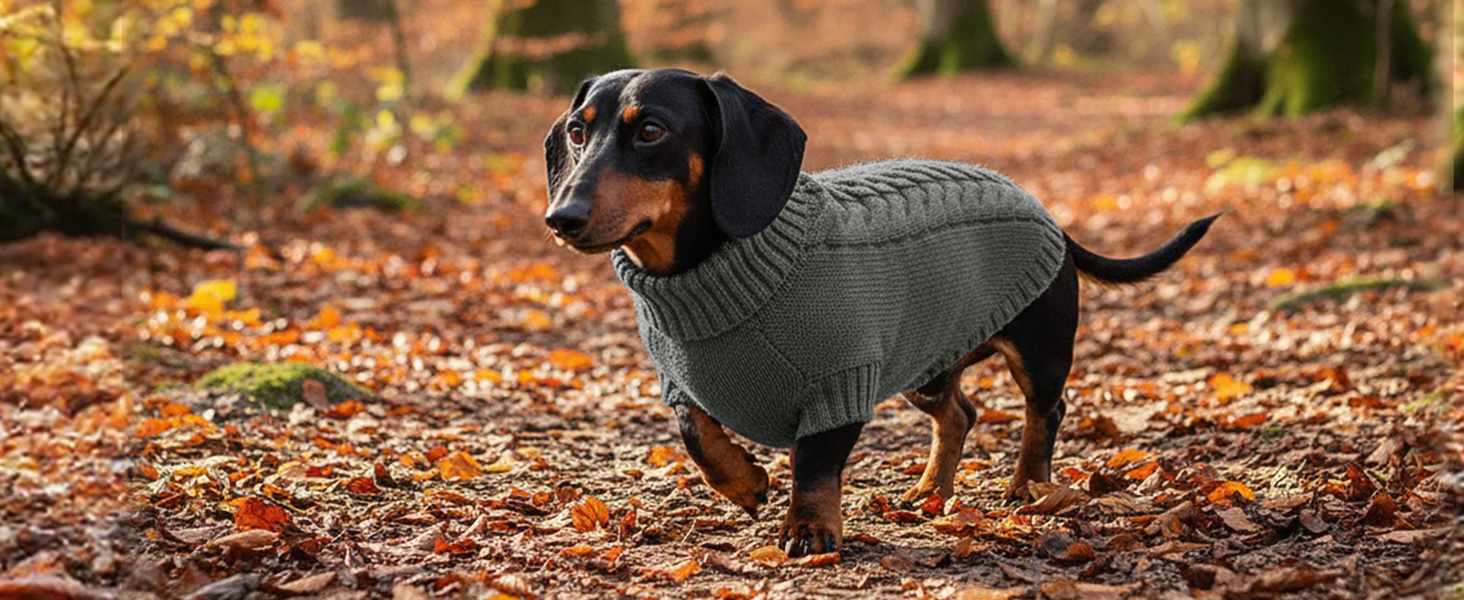 Теплий зимовий пуловер для собак S, пуловер з коміром-горловиною для чихуахуа, йорка, французького бульдога, мальтіза, зелений