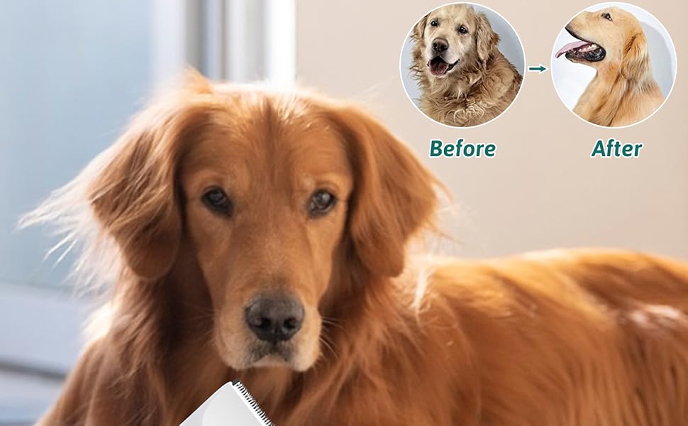 Професійна тиха машинка для стрижки собак і котів з LED-дисплеєм, тример для подушечок лап, електричний набір для стрижки тварин