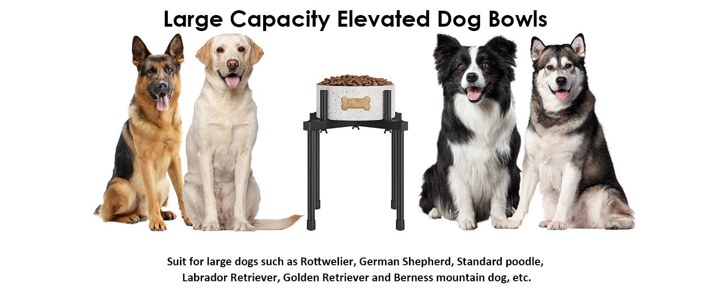 Підставка для води для собак Jane Eyre – регульована, піднята, для великих та середніх собак, антиковзаюча, без миски. Матеріал: L-STEEL