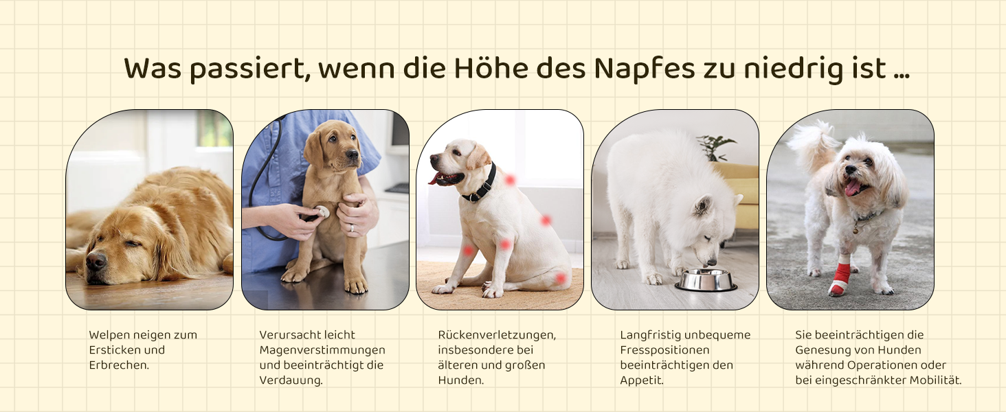 Підвищена годівниця для собак з регулюванням висоти та кута, 2 миски, антиковзаюча підстилка