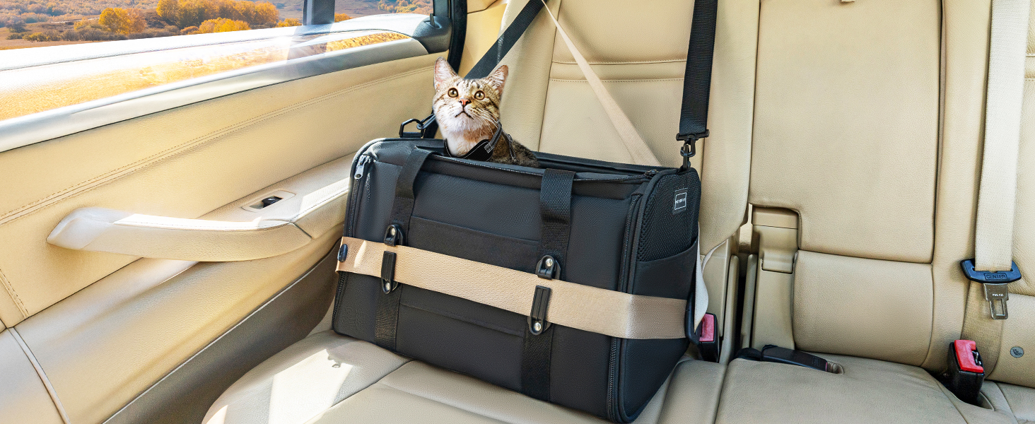 Переноска для кота та собаки Petsfit - чорна, розмір M (45.5 x 28 x 28 см) з м'яким килимком