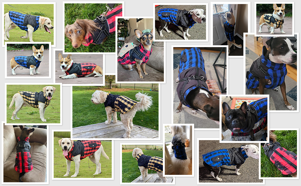 Теплий зимовий одяг для собак: флісова жилетка, куртка з блискавкою, водонепроникний одяг для холодної погоди (L, Синій)