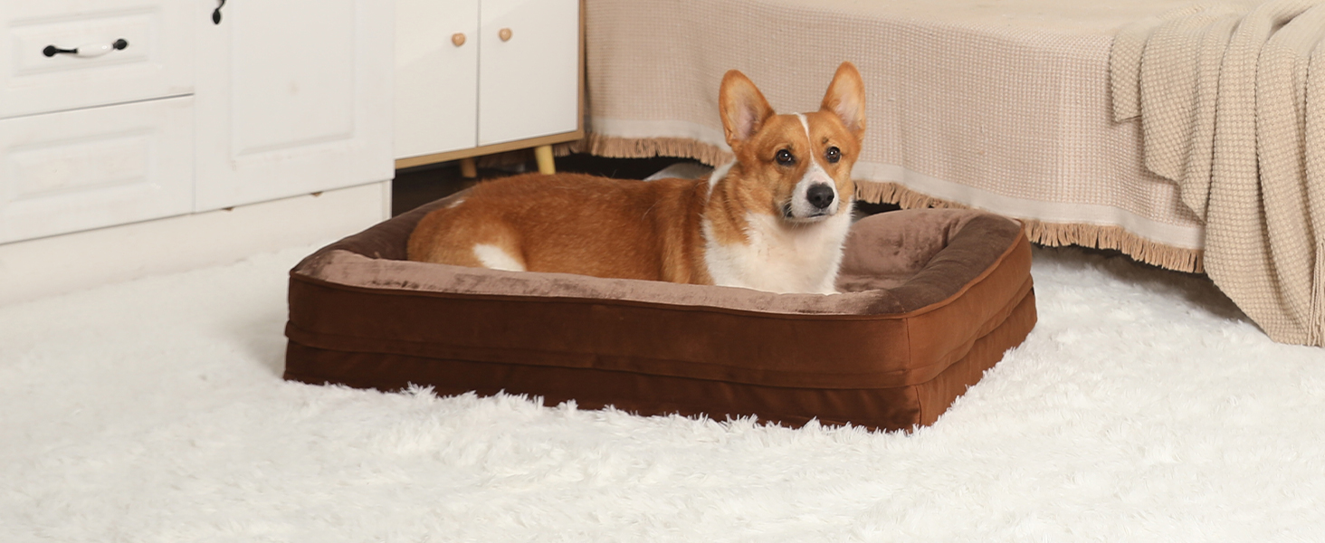 Ортопедичне ліжко для собак великих порід, ергономічне диван-лежанка з піною у формі ковчега, водонепроникне, неслизьке ліжко для собак 89x63 см, світло-сірий (світло-сірий, Д 89 x Ш 63 x В 17 см)