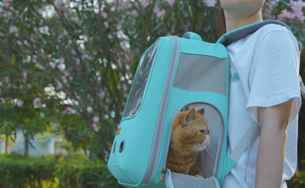 Рюкзак для кота та маленького собаки Lollimeow - зелений, для подорожей літаком, ідеальний для кошенят та цуценят