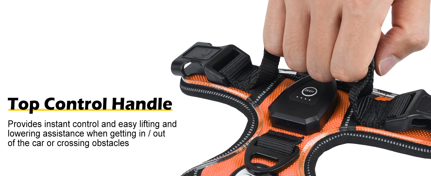 Світловідбиваючий нашийник для собак Joytale з LED, для середніх та великих собак, без натягування, з ручкою, регульований, для нічних прогулянок, зелений/помаранчевий, M/XL