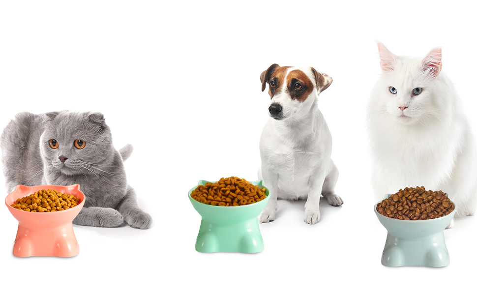 Підвищений годівниця для котів, підставка для мисок, нахилена на 15°, антиблювотний годівник, захист шиї, для домашніх тварин