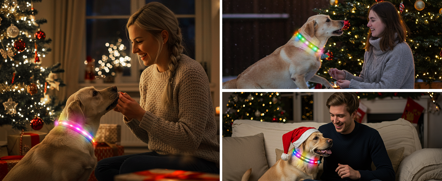 Світлодіодна нашийник для собак Feycig з USB зарядкою - водонепроникний, регульований, 3 режими, для малих, середніх та великих собак (Чорний, L(48-60см))
