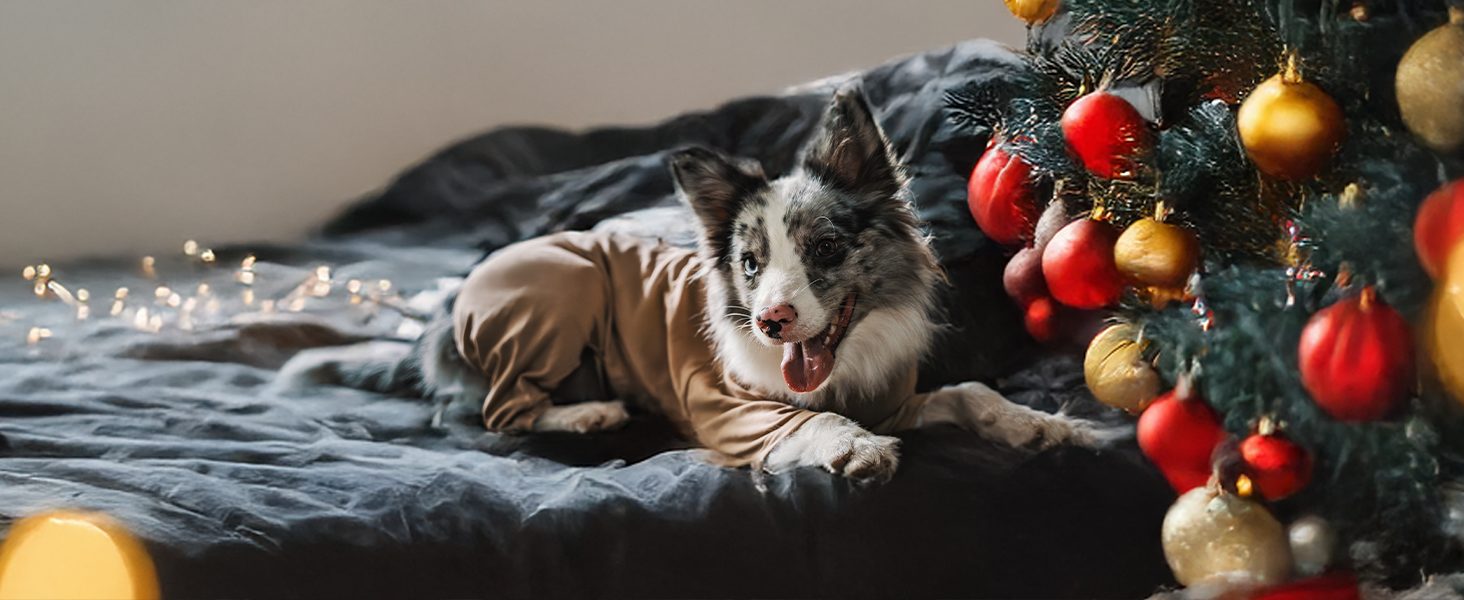 OneTigris Піжама для собак, теплий комбінезон для великих та середніх собак, коричневий L