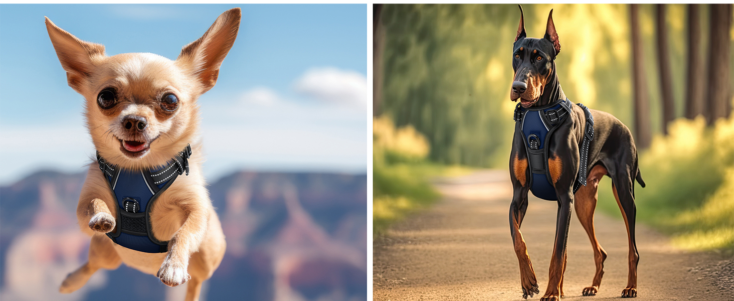 Шлейка для собак LOVPET® без натягу та тяги для маленьких собак та цуценят, дихаюча та м'яка, світловідбиваюча | Безперетягувальна шлейка з ручкою та рулонами для відходів | Регульована шлейка Navy Blue - L Navy Blue