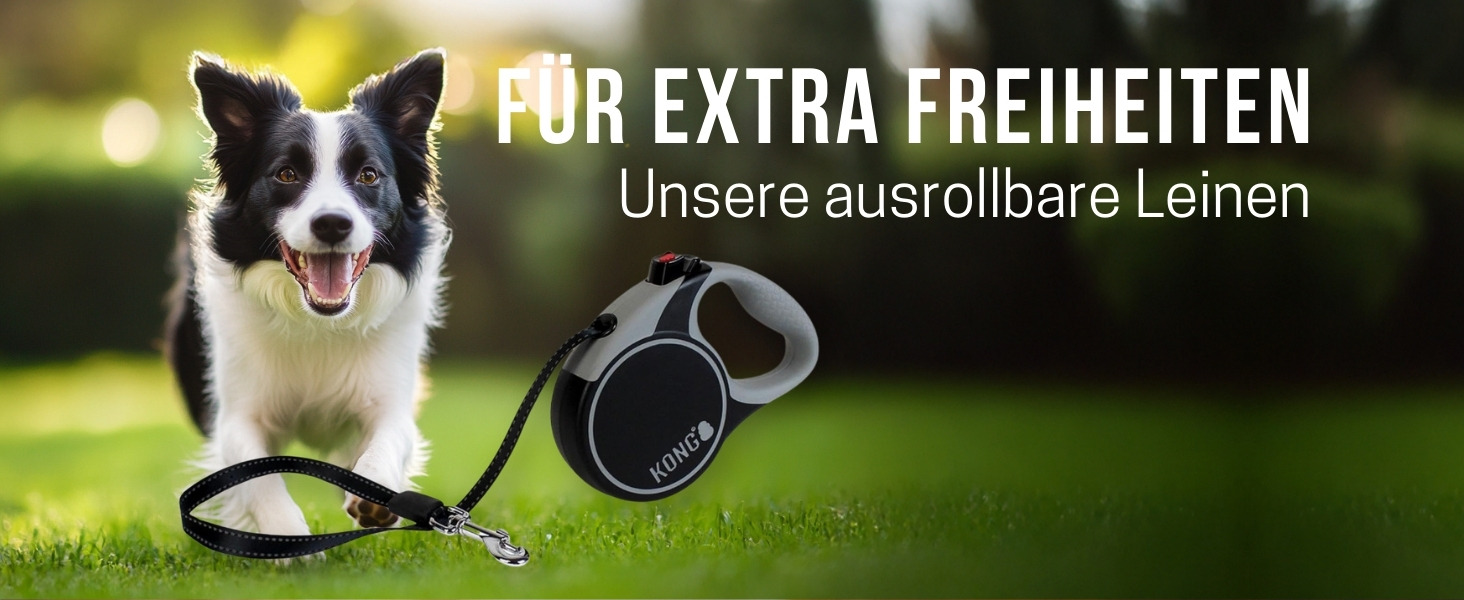 Рулетка для собак KONG Terrain, середнього розміру, фуксія