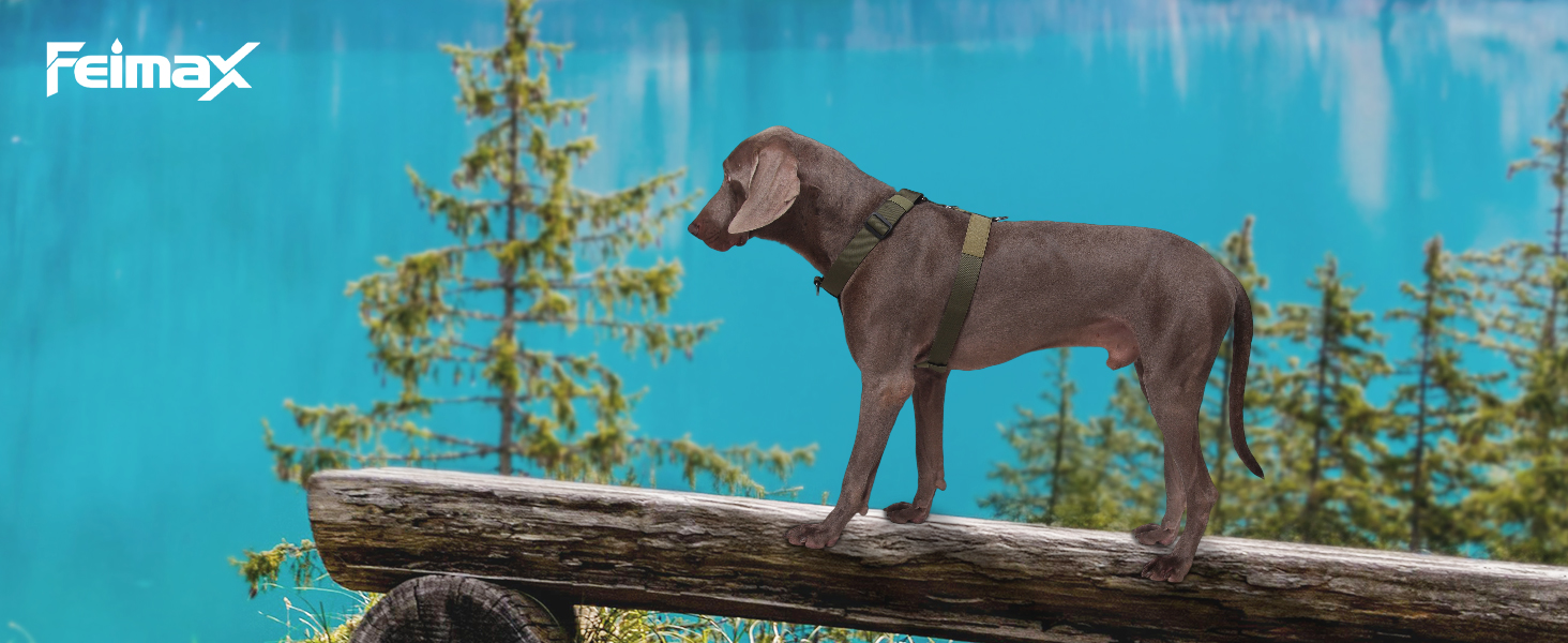 Шлейка для собак FeimaX великих порід, тактична, не тягне, дихаюча, зручна, зелена (L)