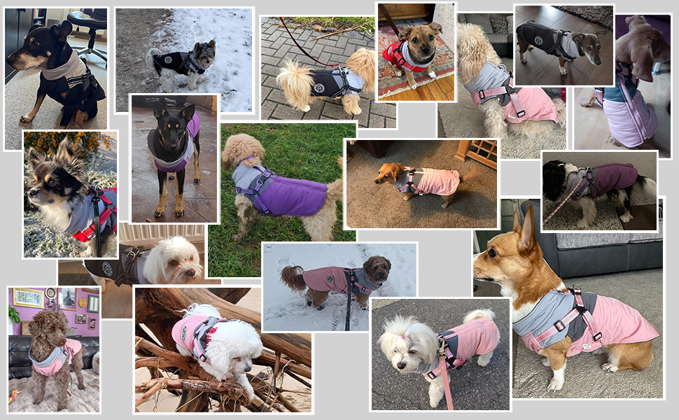 Водонепроникний зимовий теплий дощовик для собак Savlot - вітронепроникна куртка для маленьких та середніх собак з нашийником, світловідбиваючі елементи (чорний + сірий)