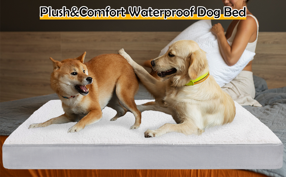 Ортопедичне ліжко для собак Vertupet з Memory Foam, 75x50x8 см, знімний чохол та м'яке подушечка, для великих собак, сіре та біле