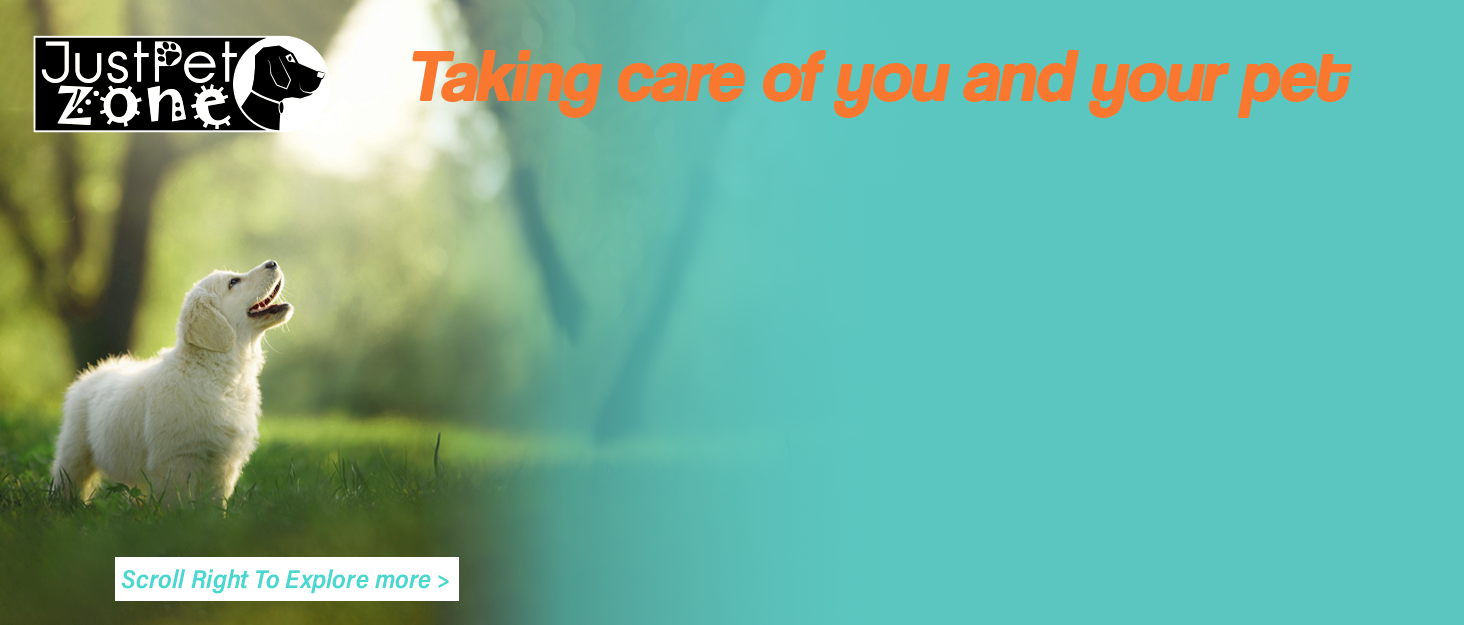 Автомобільні ремені безпеки для собак, 2 шт. - надійний захист для тварин під час поїздок