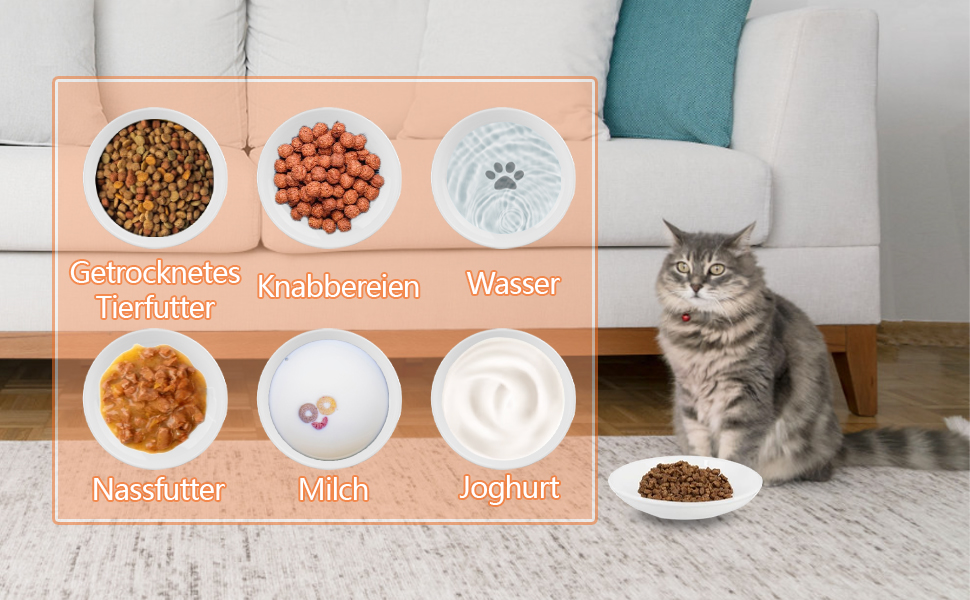 Набір мисок для котів CROUTE 6 шт. з кераміки - широкі миски для котів, анти-високочування, білий колір, з принтом лапки