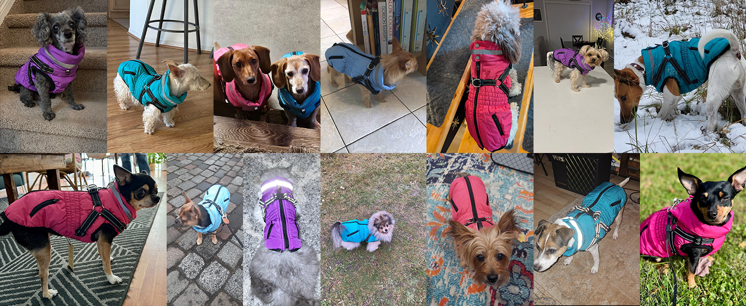 Теплий зимовий одяг для собак та котів - куртка, водонепроникний, зелений (XXL, червоний)