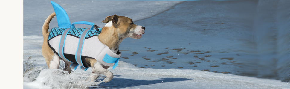 Жилет для собак 'Акула' з ручкою та світловідбиваючими елементами, для малих, середніх та великих собак, сірий, розмір M